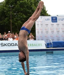 Blue Bulges 1 57682e2a71bbb.jpg
