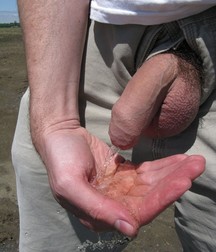 Pee-Boys 3 5810a1ae63beb.jpg