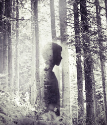 Art 02 5d4b160331c5c.jpg