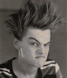 Leonardo DiCaprio  56d4959939158.jpg