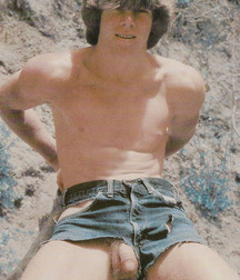playful beach boys boys summer 57646a7bc010d.jpg