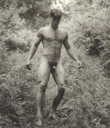 Eye Candy 579974a438882.jpg