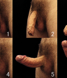High and MIGHTY 57a95a1ea6cb8.jpg