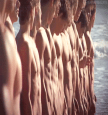 Big Package 57fd9935e8450.gif