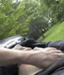 Cruising  5b98c7fedfe6d.gif