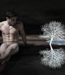 Artistic Boys 5b9d84e8cb6a5.jpg