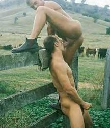 Farm Boys 5ba19bed8a223.jpg