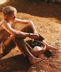 Farm Boys 5ba19bf31e566.jpg