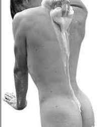 Shower Boys 5bb94437cc8af.jpg