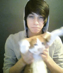 Gift Boys 5be795b37c760.gif