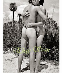Desired Boys 2 5c03303bd3eb4.jpg