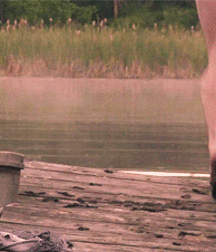 Steve Grand 5d69bcef84fe6.gif