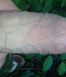 SELFIE BOY2 56e3fddbe1f1b.jpg