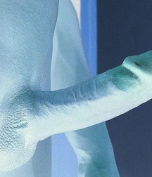 DICK FOR ALL, TAKE ONE 5700f59b457a0.jpg