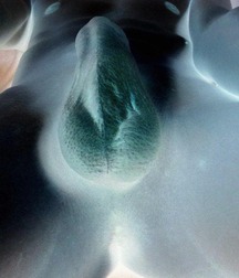 DICK FOR ALL, TAKE ONE 5700f5a34bebd.jpg