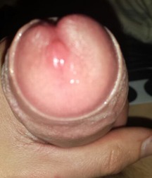 DICK FOR ALL, TAKE ONE 5700f5fc94481.jpg