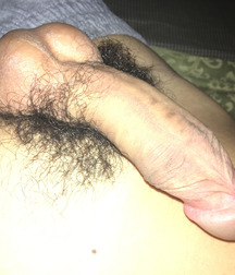 HOT BOYS IV 5712746e9a183.jpg