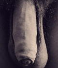 SALAMI BOYS 4 5727c0df020f7.jpg