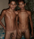 COCK PARADISE 5728c5f76779d.jpg