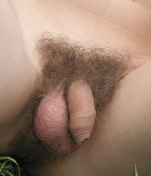 LK- BOYS 24 RUSSIAN CUTIE 584a8d3517aef.jpg