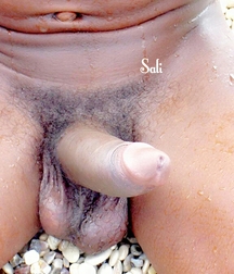 BLACK BOYS SETS 58504bbea24df.jpg