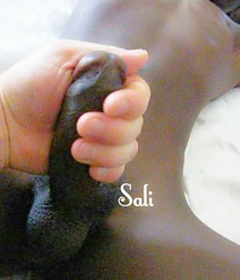 BLACK BOYS SETS 58504c9820fb9.jpg