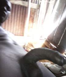 SMALL BOY SETS 4 58546f726fd60.jpg