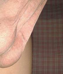 TASTY BOY SETS 6 586735414e880.jpg