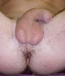 TASTY BOY SETS 61 587dbe79627a2.jpg