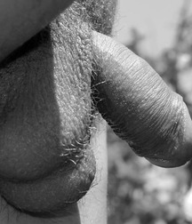 TASTY BOY COCKS B/W
