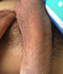 TASTY BOY SETS 150 SPECIAL KHALIFA 58959d67c6e89.jpg