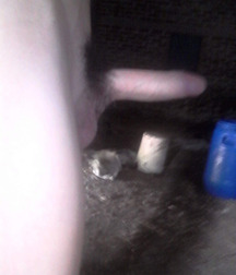 TASTY BOY SETS 160 5898bcbe75dce.jpg