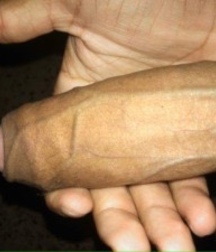 TASTY BOY 50 58a816e5ea8a4.jpg