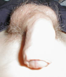 200 DICKS FOR YOU 58ac9ea4e3e40.jpg