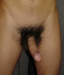 200 DICKS FOR YOU 58ac9f8672f19.jpg