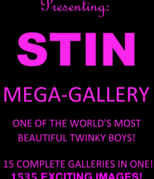 Stin Mega Gallery