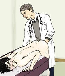 pics alonso05 57a2f459dda5c.jpg