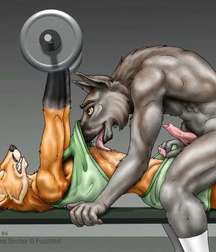 Furry 58d139f9ed436.jpg