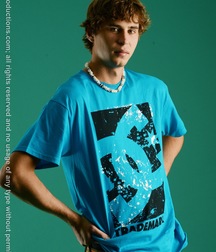 Alex 5c064f0319aa4.jpg