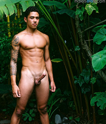 perfect body 56bf6d35798ba.jpg