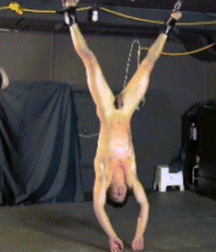 Slave Suspension 5bb3789fb0cde.gif