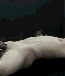 Hard Bound Fetish (Gifs) 5bb38ac3d34ce.gif