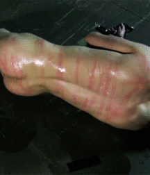 Slave Dungeon 5bd61207f0698.gif