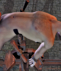 BDSM  Boys 5bd62a0407f26.jpg