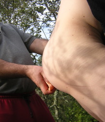 Exhib With Men 5818aec686412.jpg