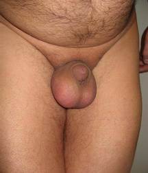 Does this dick make me look hot 58c76434b6bc8.jpg