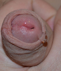 Does this dick make me look hot 58c764414fbe7.jpg