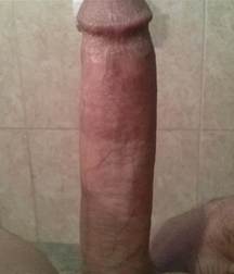 Penises 58dd9ccd0efc8.jpg