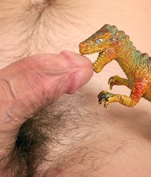 Cockalicious (3) 56af1d63e014f.jpg