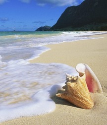 Beach, pool and sports (7) 570d61198da92.jpg
